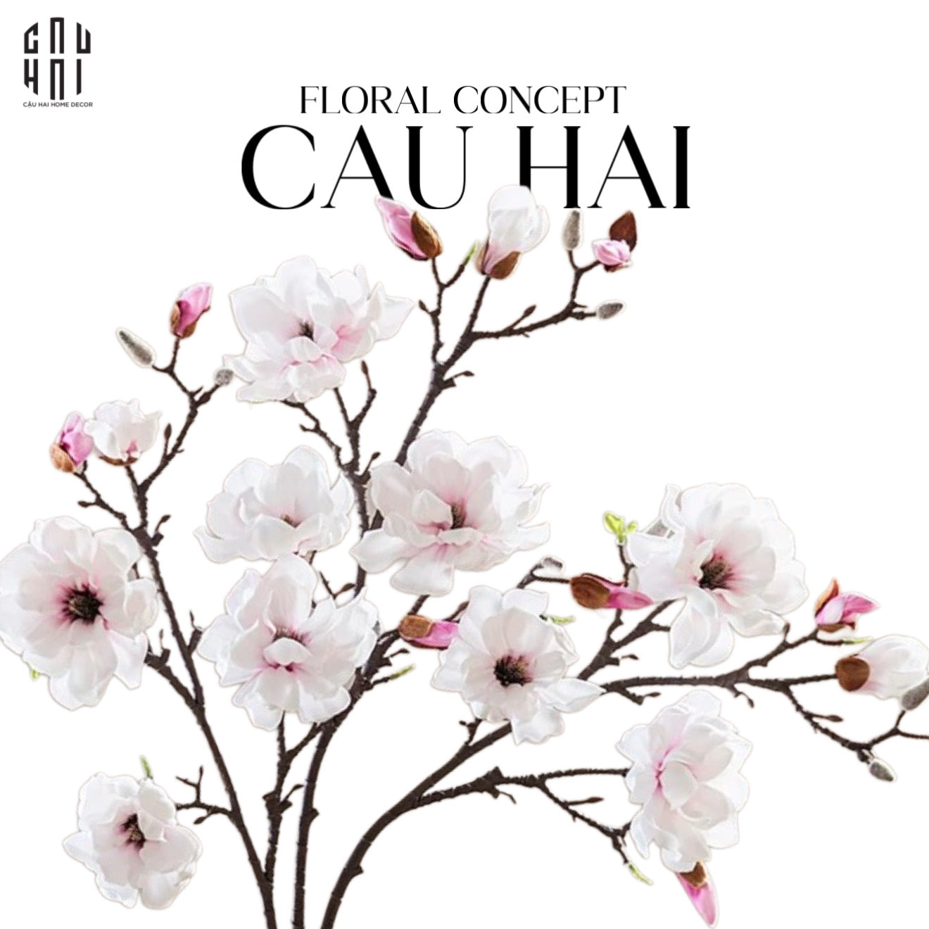 CÀNH HOA MỘC LAN SUPER - WHITE PINK