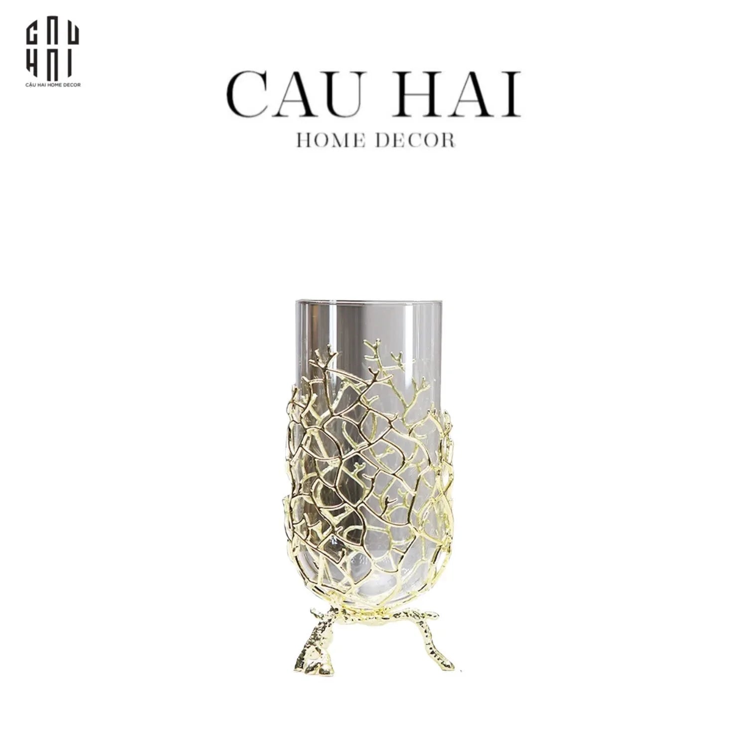 BÌNH HOA SPRING CORAL SIZE M VERS 2.0