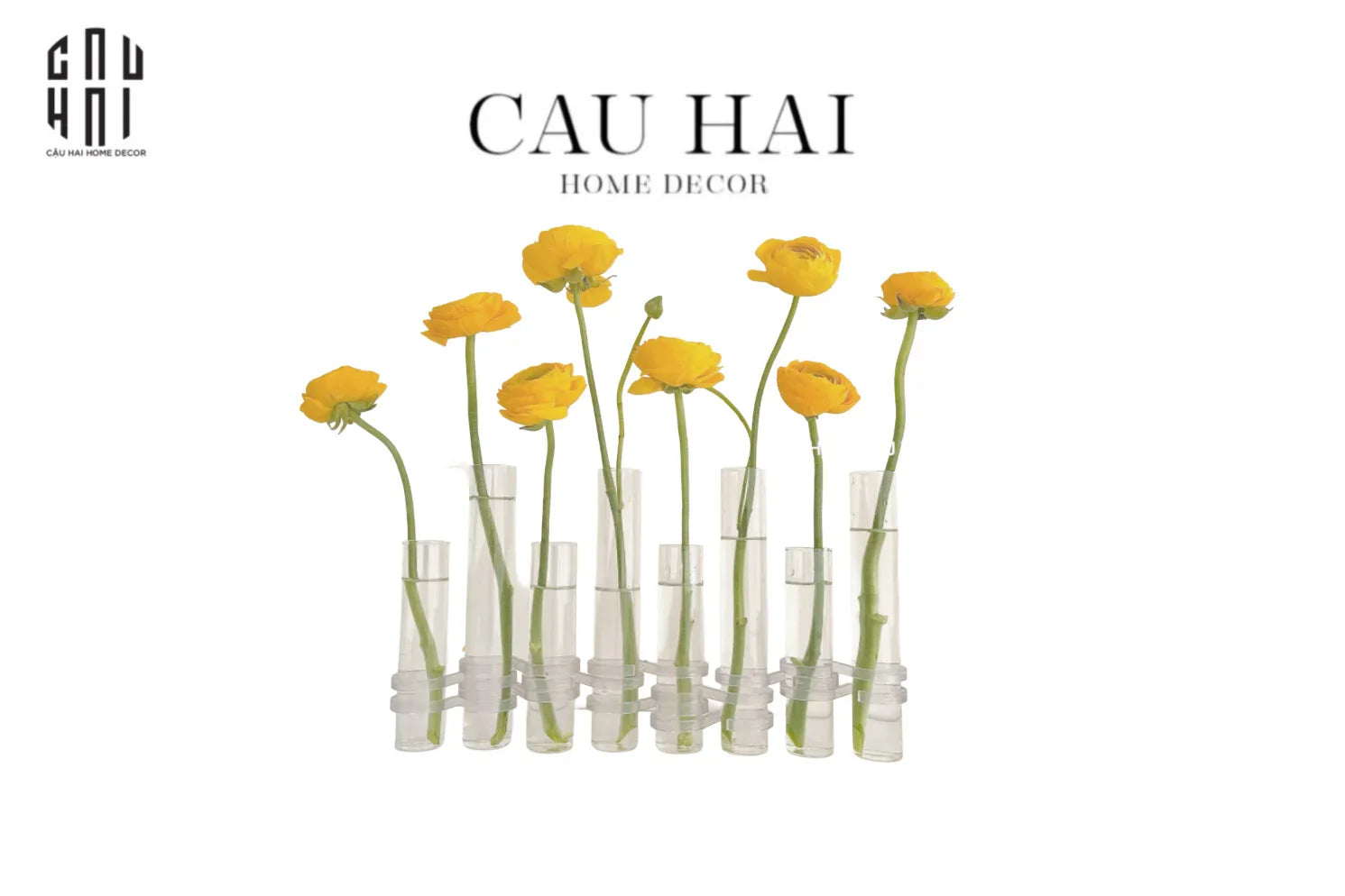 BÌNH HOA THUỶ TINH TRANG TRÍ CHEMISTRY