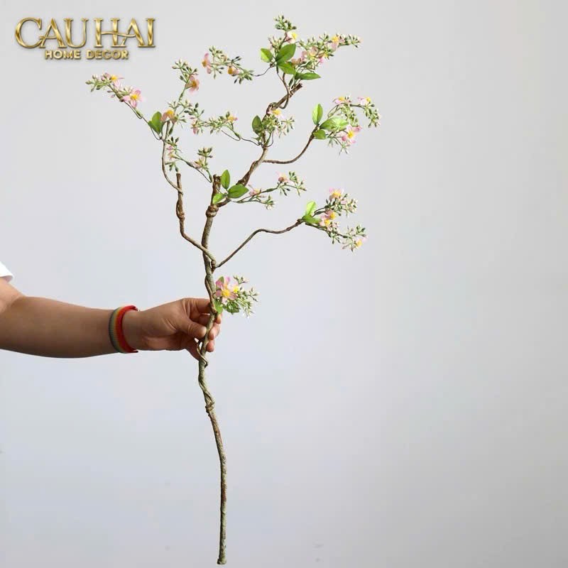 CÀNH HOA TÁO