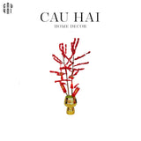 CHẬU ĐÀO ĐÔNG 2025 - SONG PHÚC CÁT TƯỜNG-CẬU HAI HOME DECOR