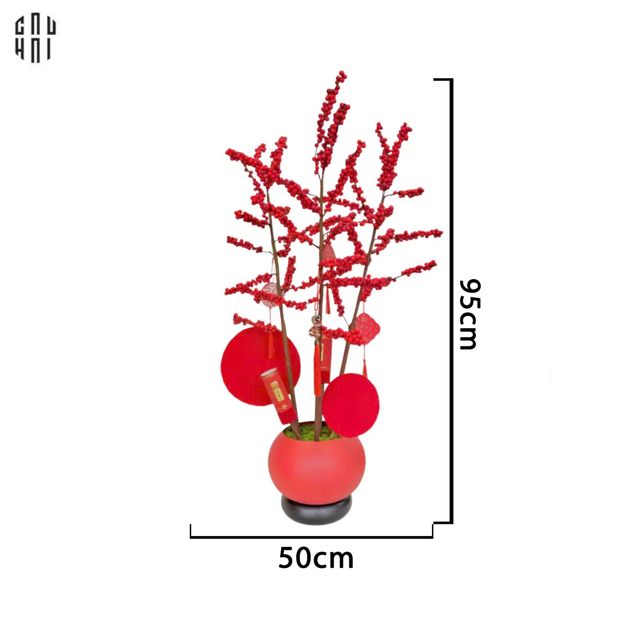 CHẬU ĐÀO ĐÔNG 2025 - TAM PHÚ QUÝ-CẬU HAI HOME DECOR