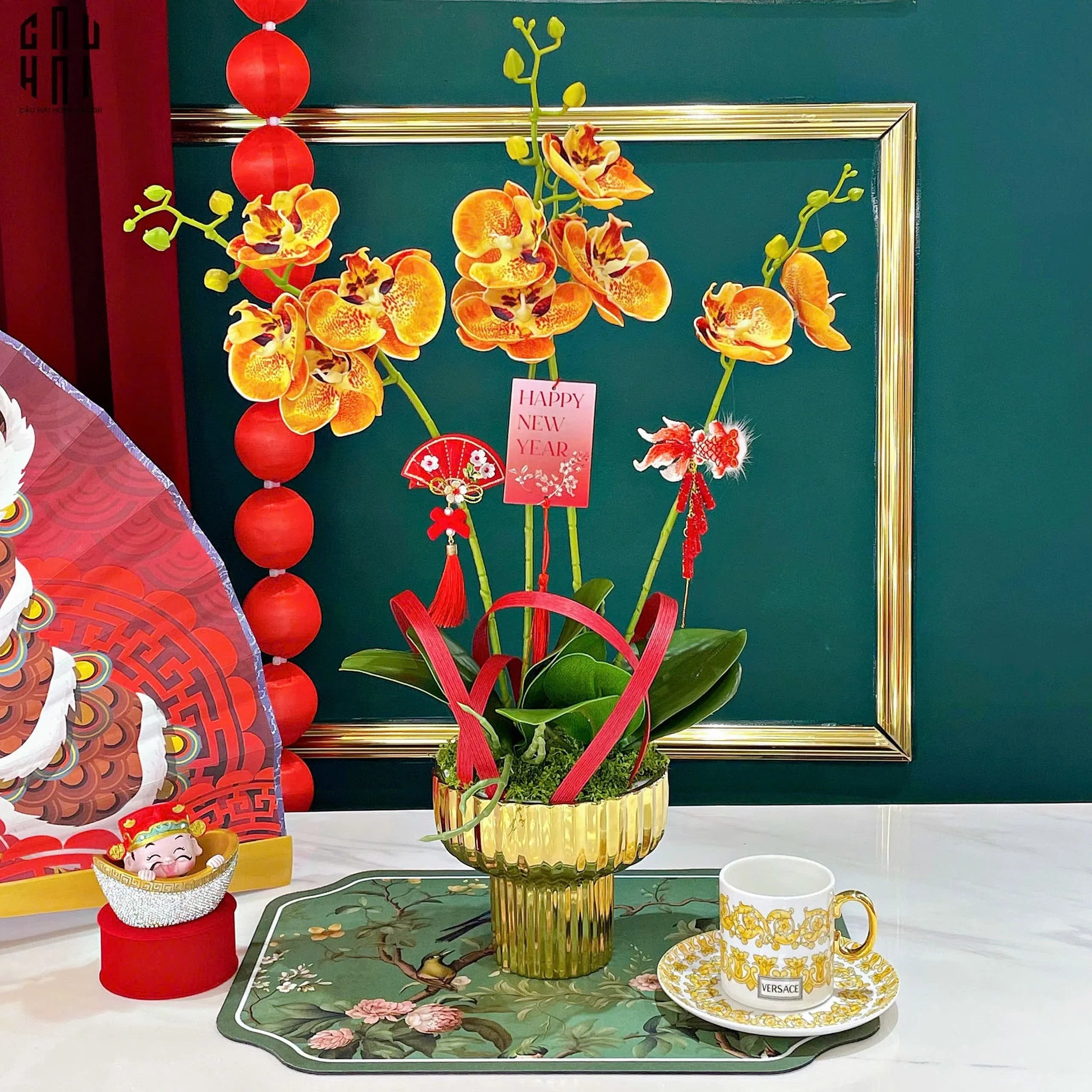CHẬU HOA LAN HỒ ĐIỆP - QUẤT SẮC