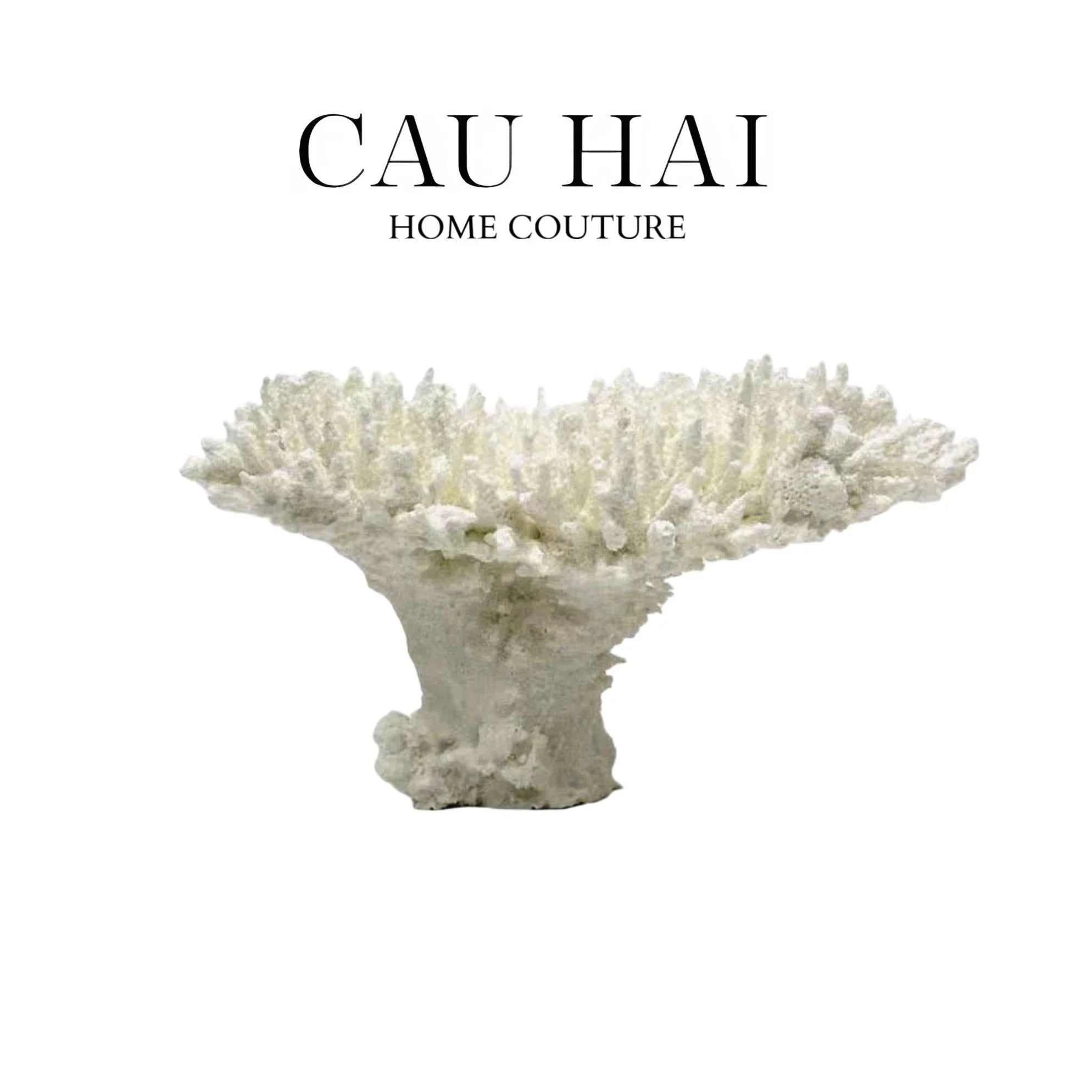 HOME COUTURE - TƯỢNG SAN HÔ CORAL - SNOW FW25