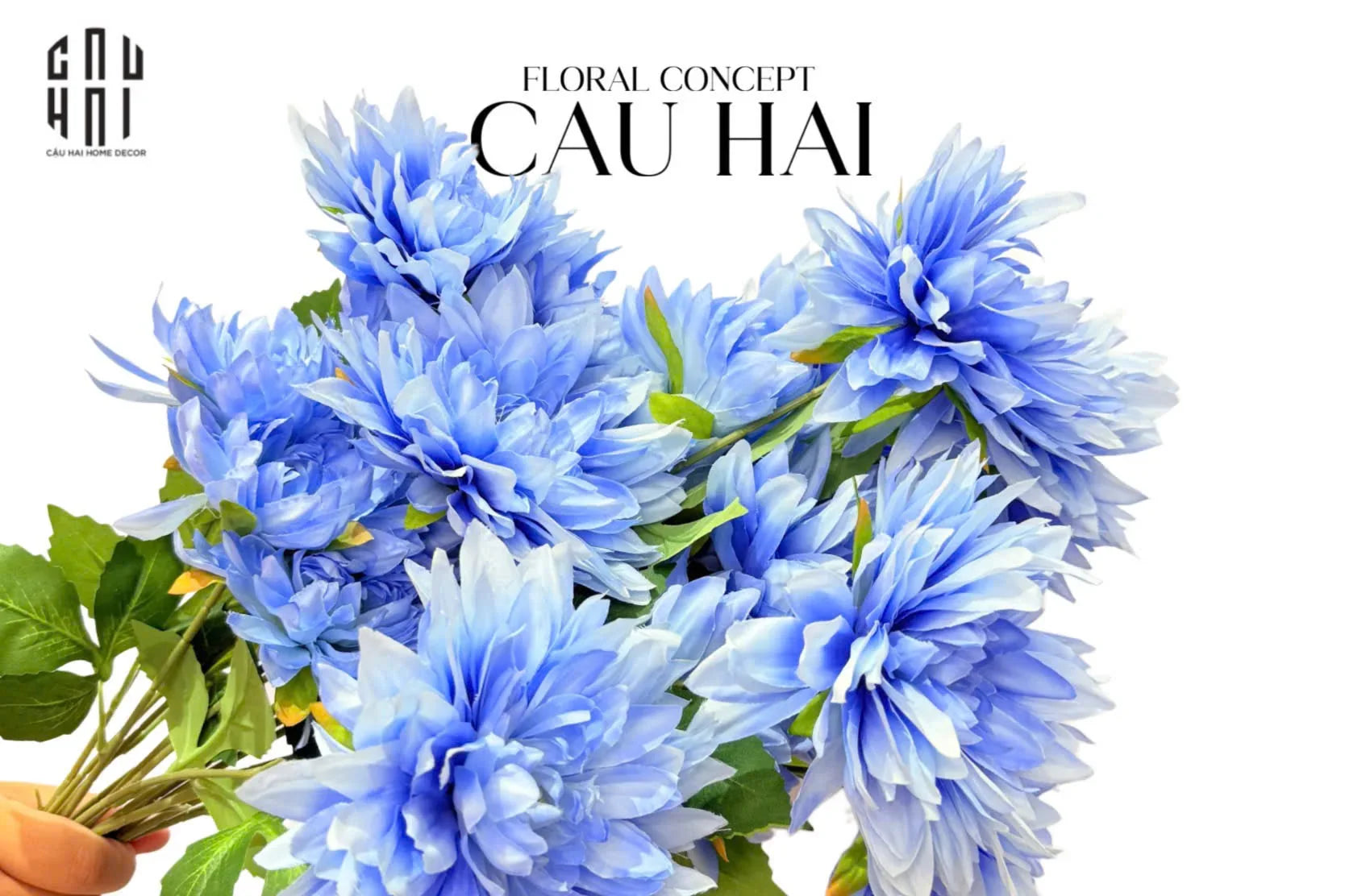 SET 2 CÀNH HOA THƯỢC DƯỢC DAHLIA - SKY BLUE