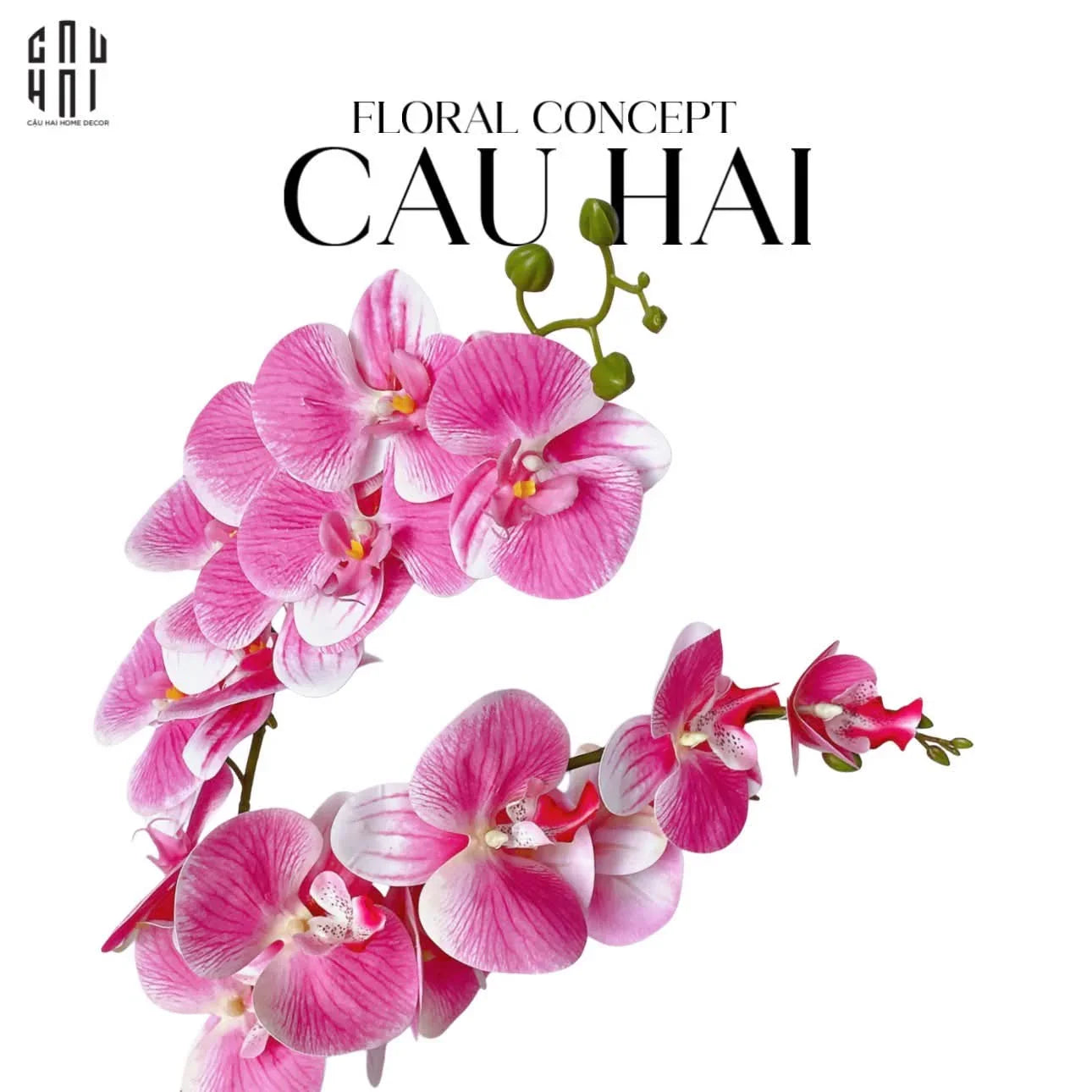 SET 2 CÀNH LAN HỒ ĐIỆP - WHITE PINK