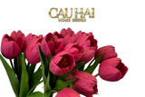 Set 7 Hoa Tulip Cranberry - Tulipe De Grandeur-CẬU HAI HOME DECOR