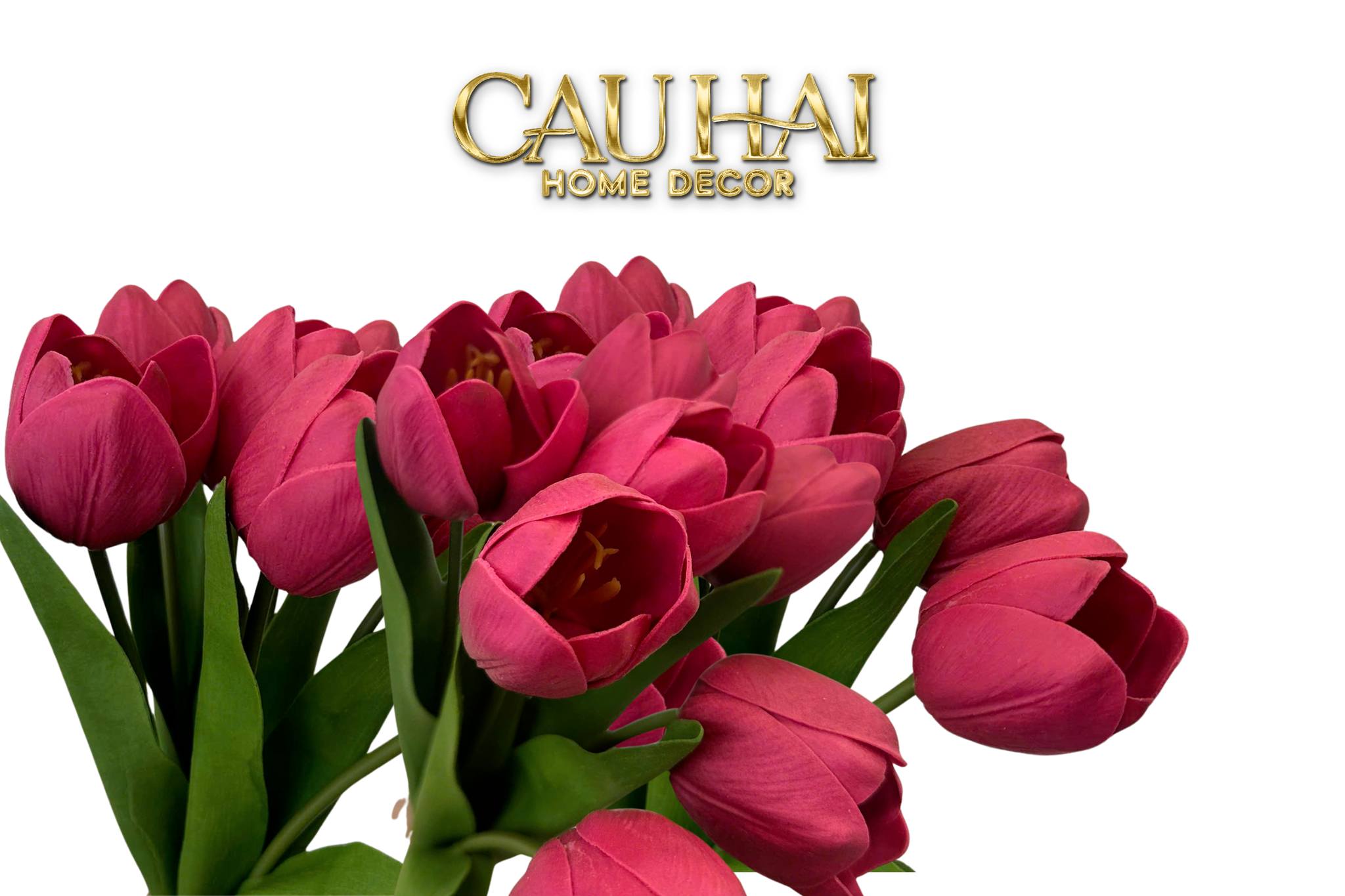 Set 7 Hoa Tulip Cranberry - Tulipe De Grandeur-CẬU HAI HOME DECOR