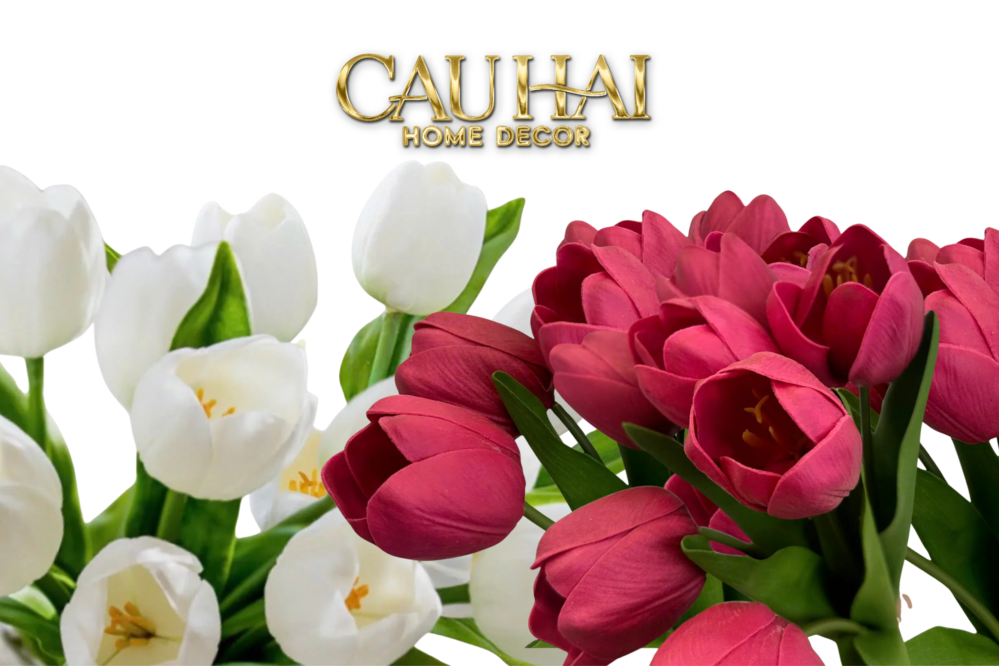 Set 7 Hoa Tulip Cranberry - Tulipe De Grandeur-CẬU HAI HOME DECOR