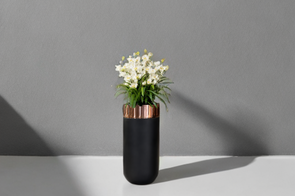 Maison Couture - Chậu Hoa Địa Lan Cymbidium Rosé Noir H170