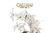 WHITE GLORIOSA FLOWER BRANCH