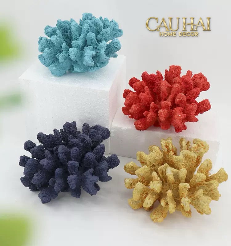 Tượng San Hô Oceania Coral Azure / Flame