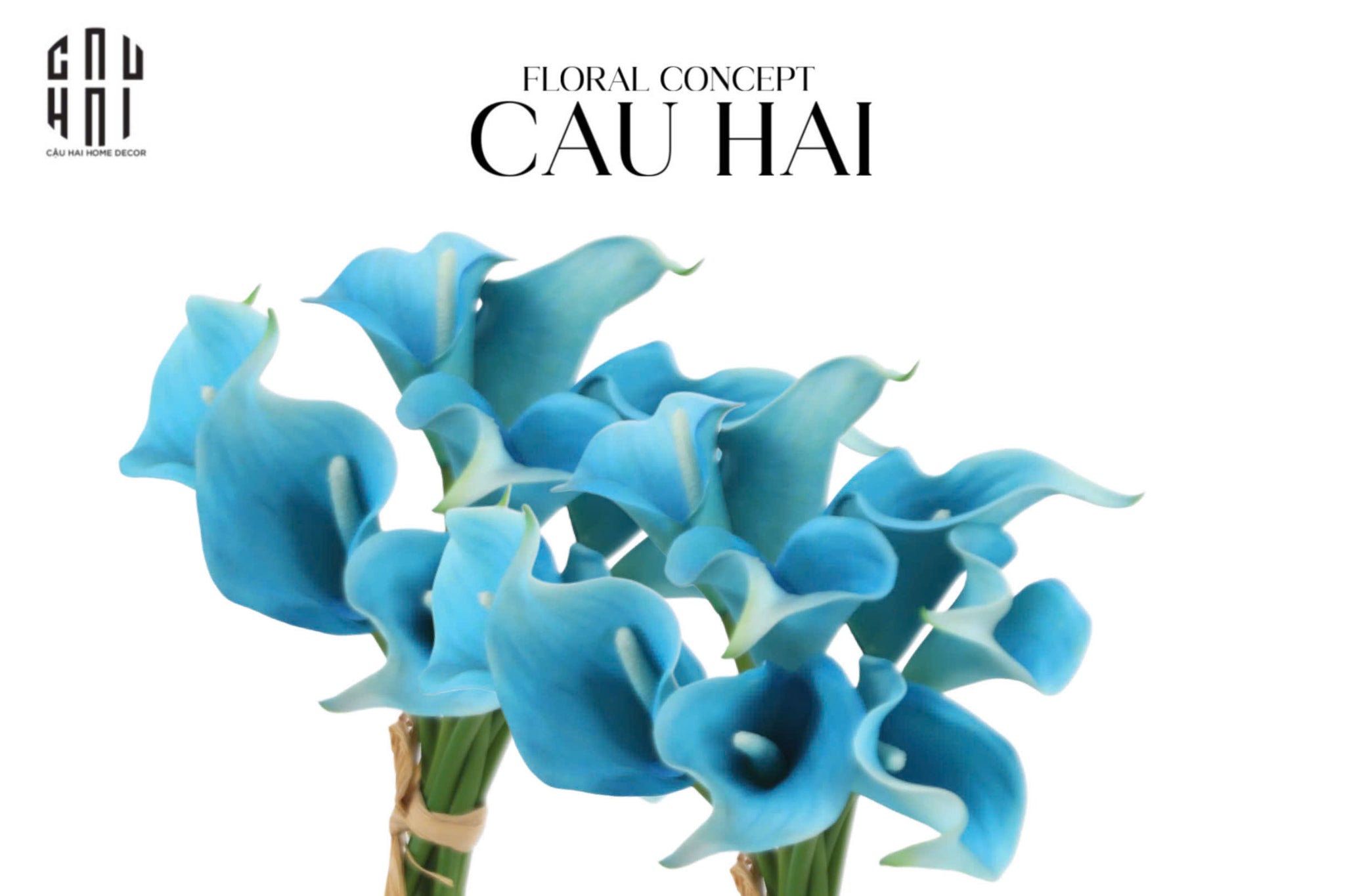 SET 5 CÀNH CALLA LILY FLAME / SKY BLUE-CẬU HAI HOME DECOR