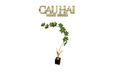 Tượng Cành Hoa Pha Lê Crystal Canopée Émeraude H60x30