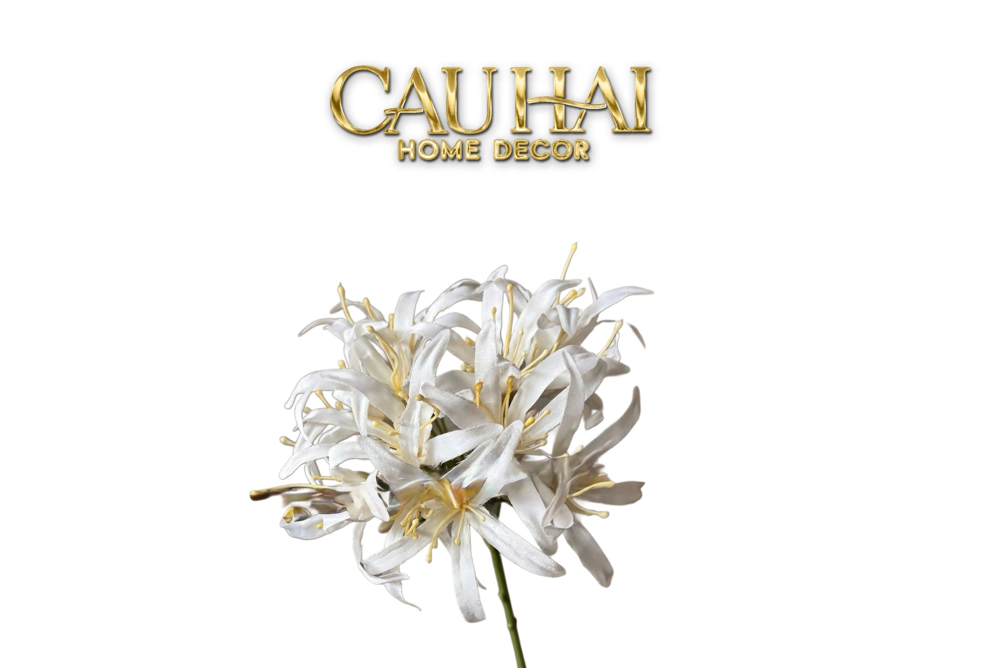 White lily of the valley