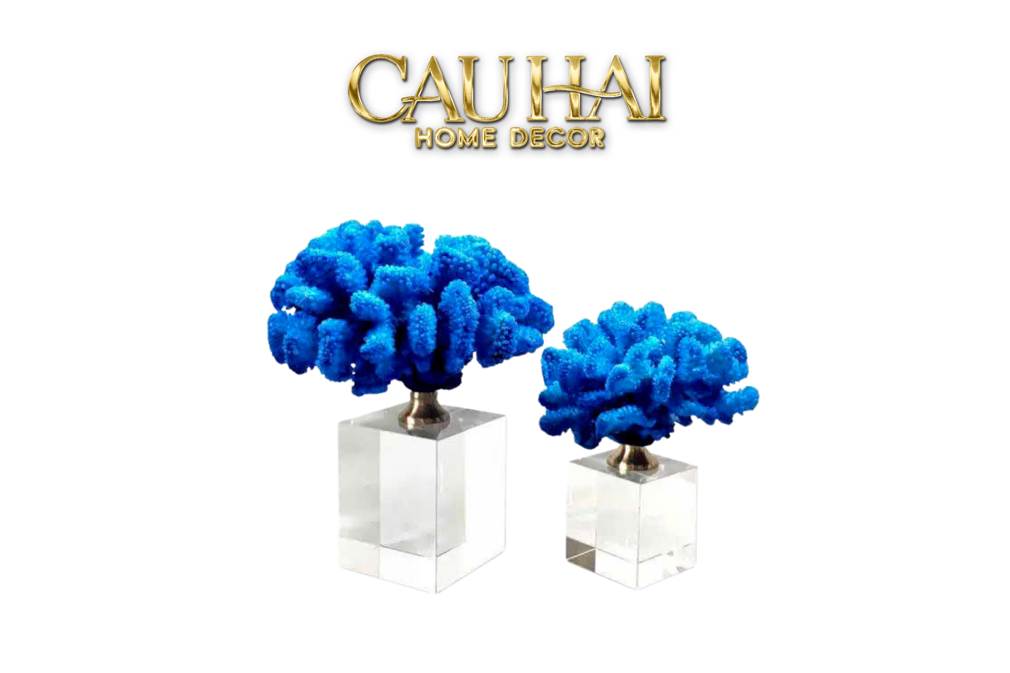 HOME COUTURE - SET 2 TƯỢNG SAN HÔ AZURE TIDAL  AETHER CORALS CRYSTAL BASE.