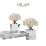 Home Couture - Set 2 Tượng San Hô Azure Tidal  Aether Corals Crystal Base.
