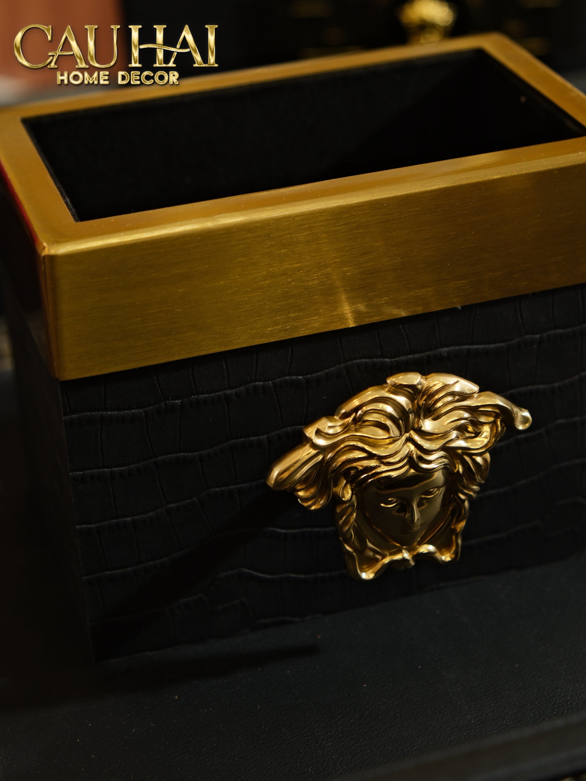 Maison Couture - Hộp Đựng Remote Brasson MeduSa V Class Limited
