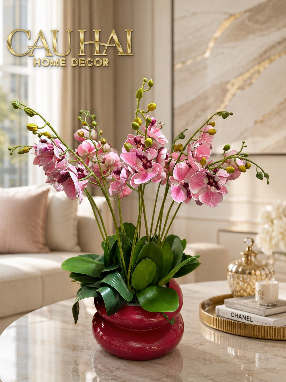 Chậu Lan Hồ Điệp Rosé Élégance H60