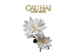 White Peony Flower Branch
