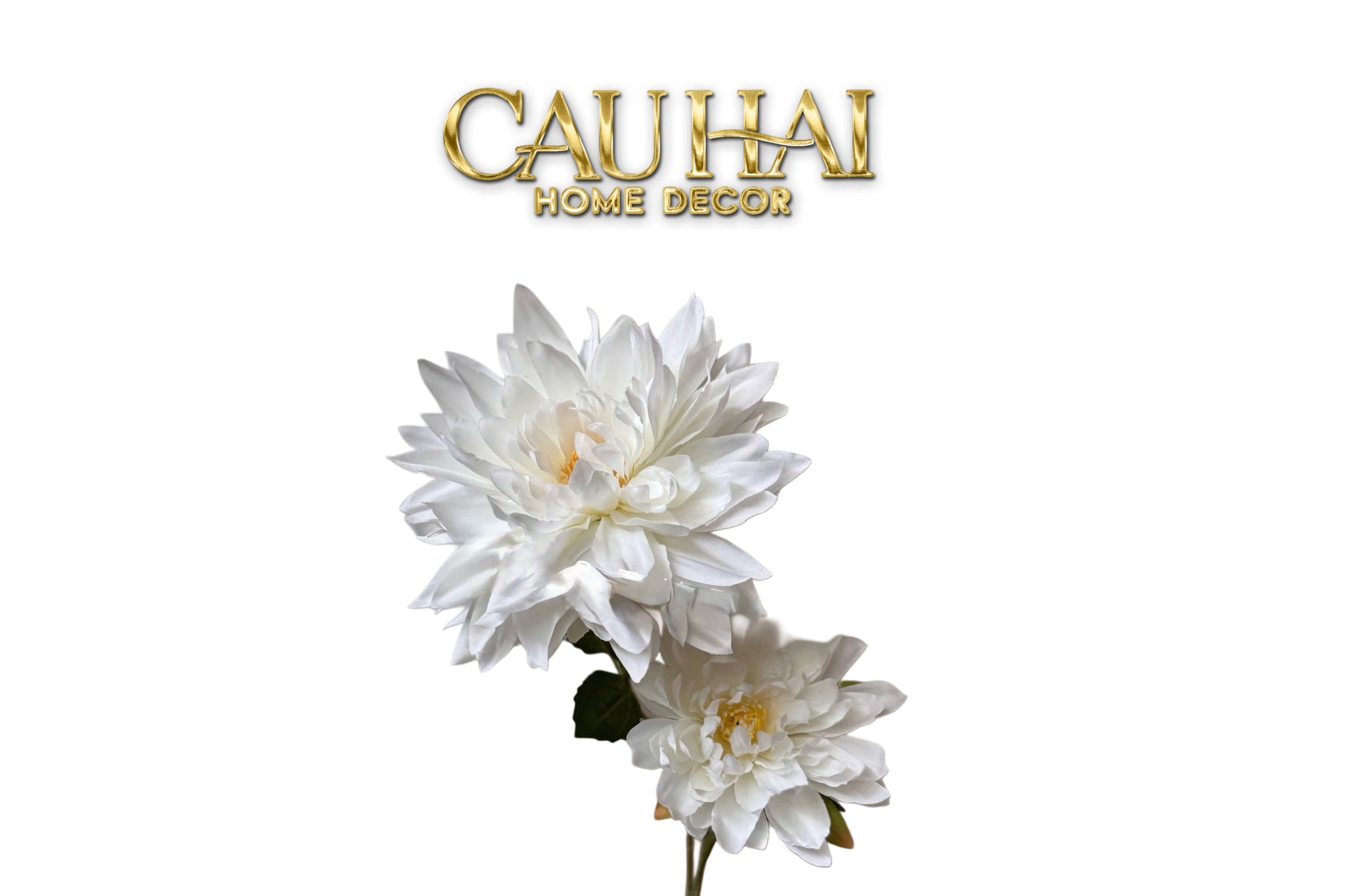 White Peony Flower Branch
