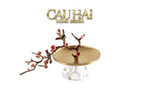 HOME COUTURE - ĐĨA BRANCHE DE BONHEUR ATÉLIER