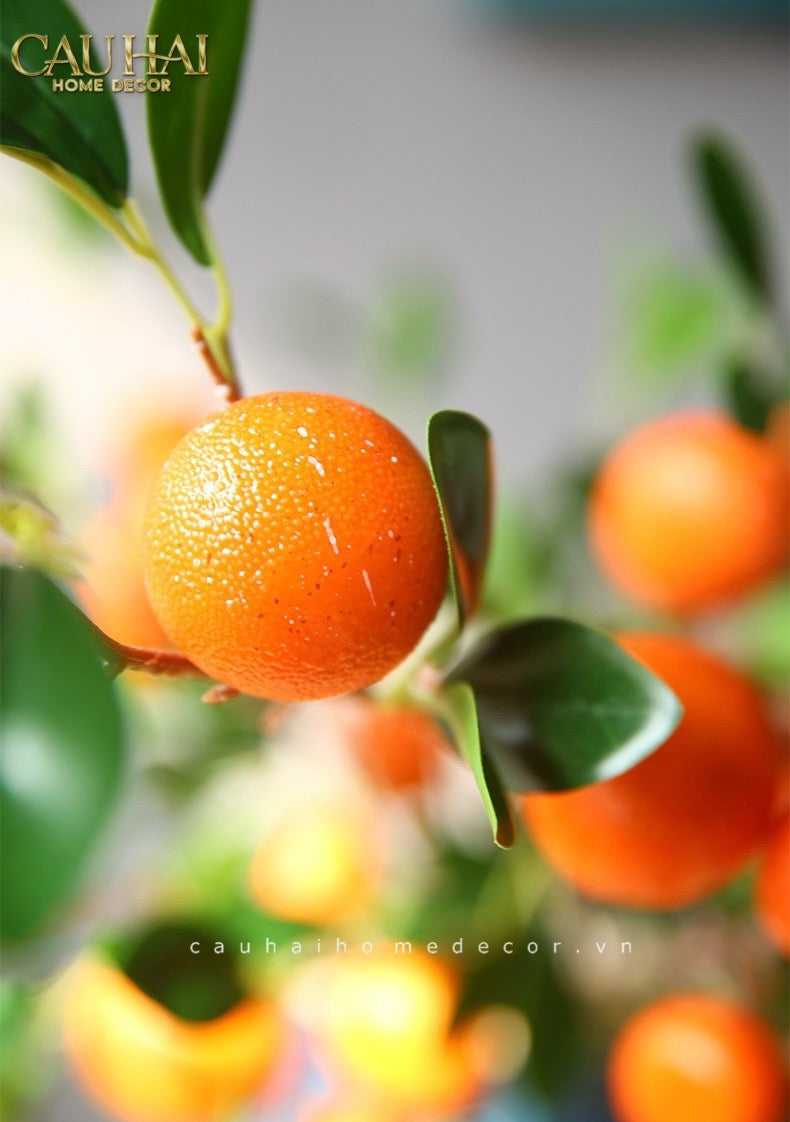 Set 2 Cành Quả Quýt Tangerines Ember/Amber - CẬU HAI HOME DECOR