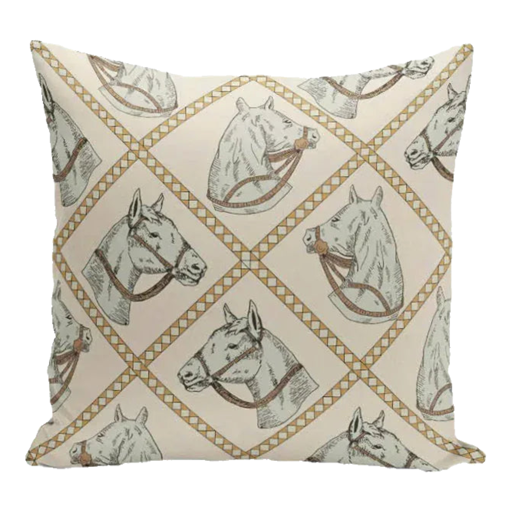 Vỏ Gối Canvas White Pegasus 45.