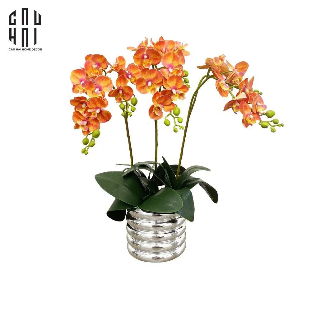 BÌNH HOA ORANGE ORCHID