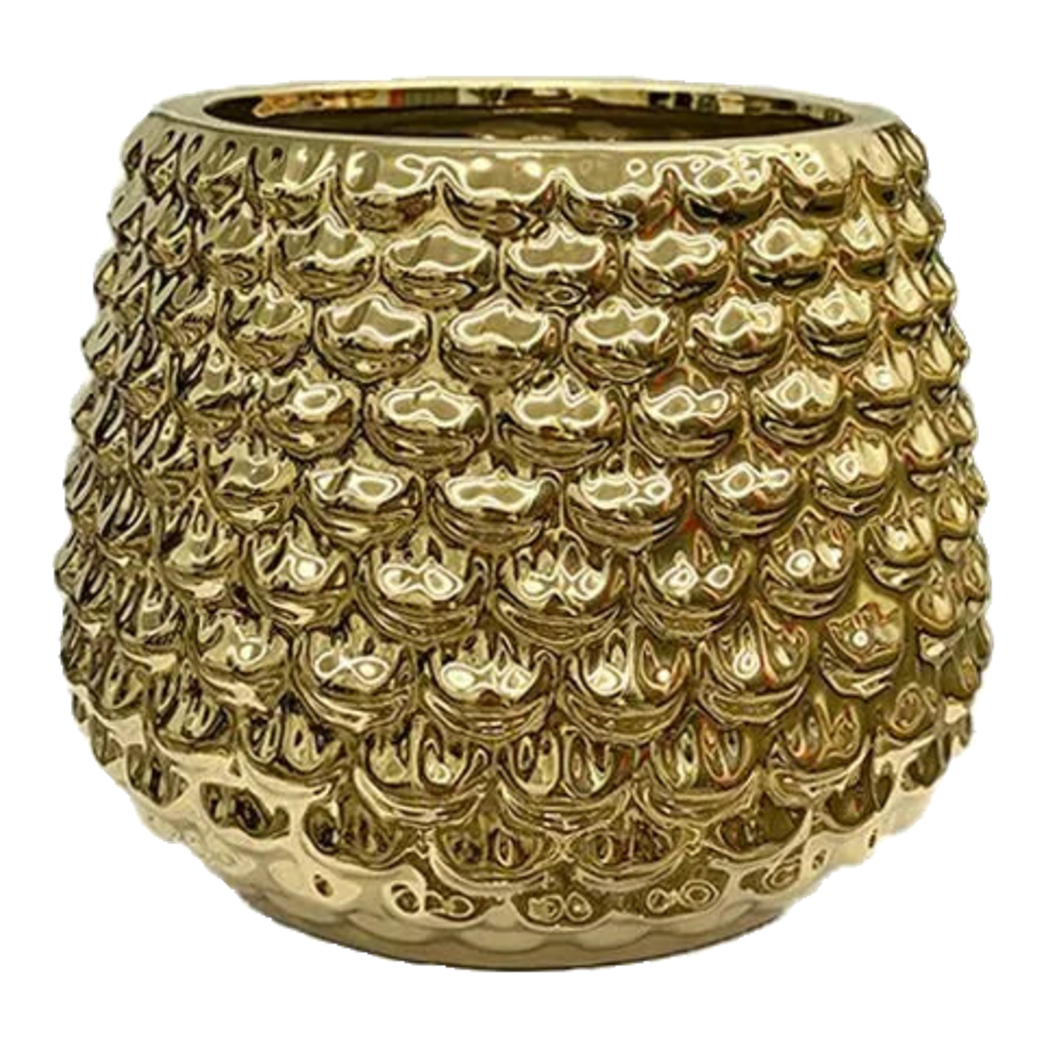 Bình Hoa Pery 16x14