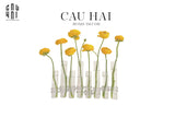 BÌNH HOA THUỶ TINH TRANG TRÍ CHEMISTRY-CẬU HAI HOME DECOR