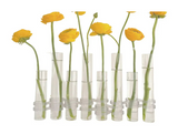 Bình Hoa Thuỷ Tinh Trang Trí Chemistry-BÌNH HOA-Đối tác tại Trung Quốc theo từng đơn đặt hàng-CẬU HAI HOME DECOR