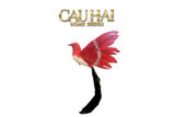 Bird Of Paradise - Heavenly Phénix Collection Privée - CẬU HAI HOME DECOR