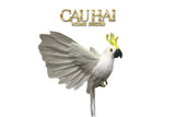 Bird Of Paradise - Heavenly Phénix Collection Privée-LY THỦY TINH-CẬU HAI HOME DECOR