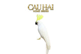 Bird Of Paradise - Heavenly Phénix Collection Privée-LY THỦY TINH-CẬU HAI HOME DECOR