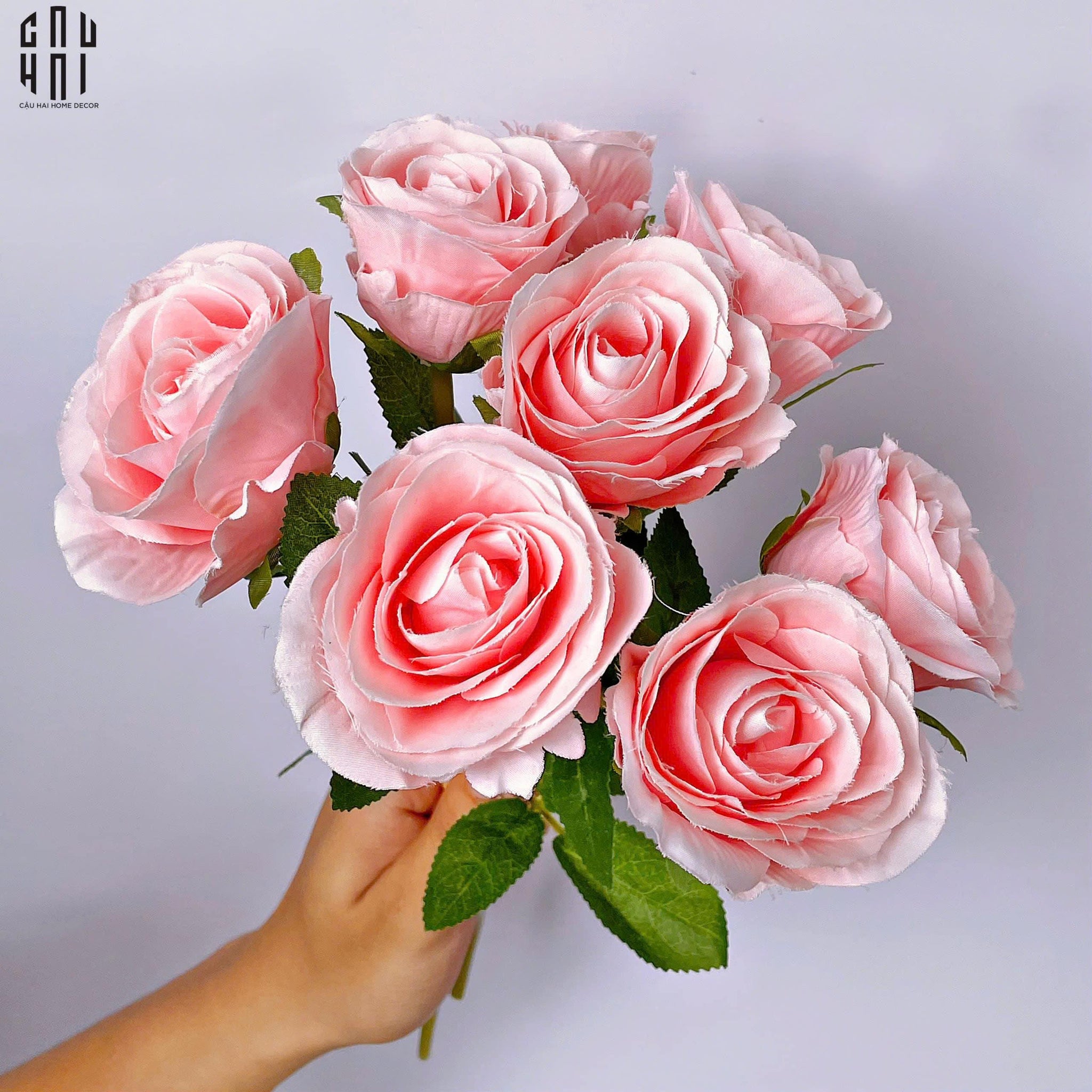 BÓ 8 HOA HỒNG CAM BABE