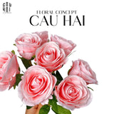 Bó 8 Hoa Hồng Cam Babe - CẬU HAI HOME DECOR