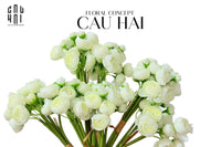 bo-hoa-mao-luong-mini-trang-cau-hai-home-decor - CẬU HAI HOME DECOR