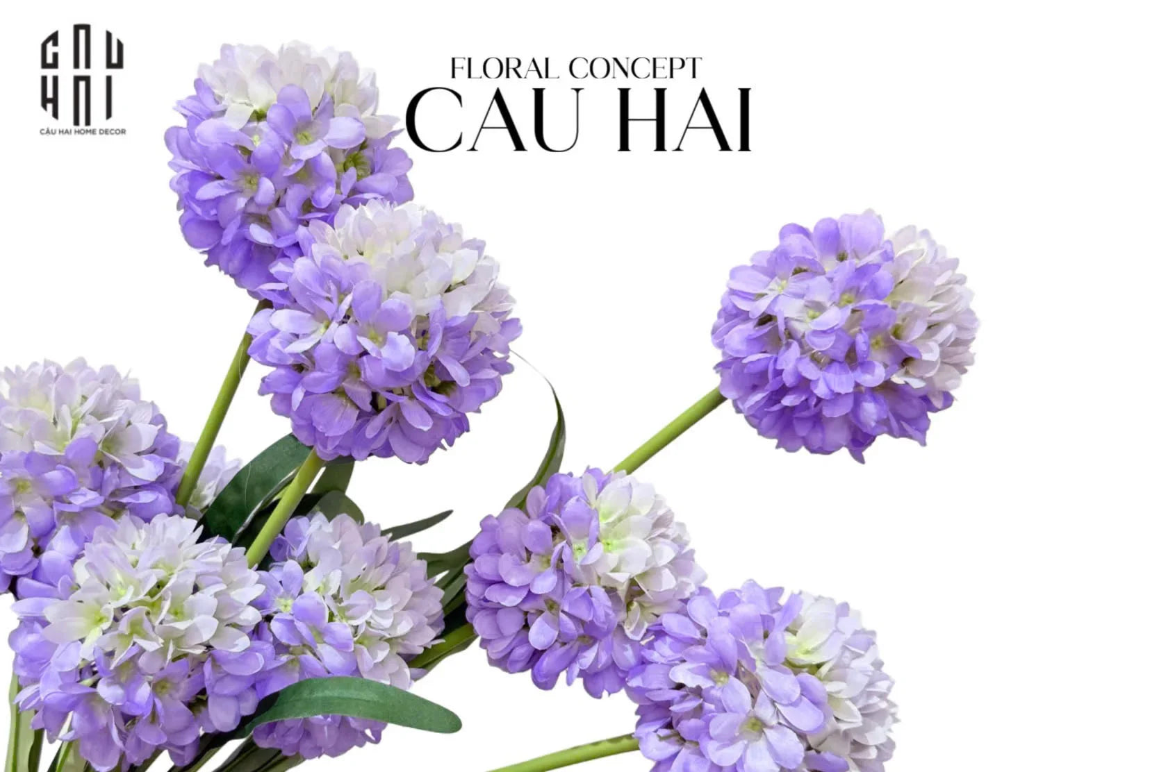 CÀNH 2 HOA HÀNH ALLIUM - VIOLET