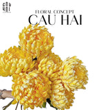 CÀNH CÚC MẪU ĐƠN VÀNG