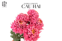 Cành Cúc Thiên Hương Mẫu Đơn - Special Version-CẬU HAI HOME DECOR