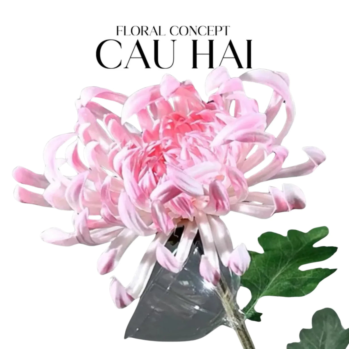 Cành Hoa Cúc Đại Đoá Vienna - Red / Yellow / Pink-Hoa Lụa-Đối tác tại Trung Quốc theo từng đơn đặt hàng-Pink-CẬU HAI HOME DECOR