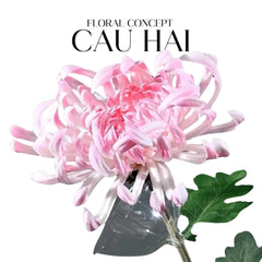 canh-hoa-cuc-dai-doa-vienna-redyellowpink-cau-hai-home-decor-7 - CẬU HAI HOME DECOR