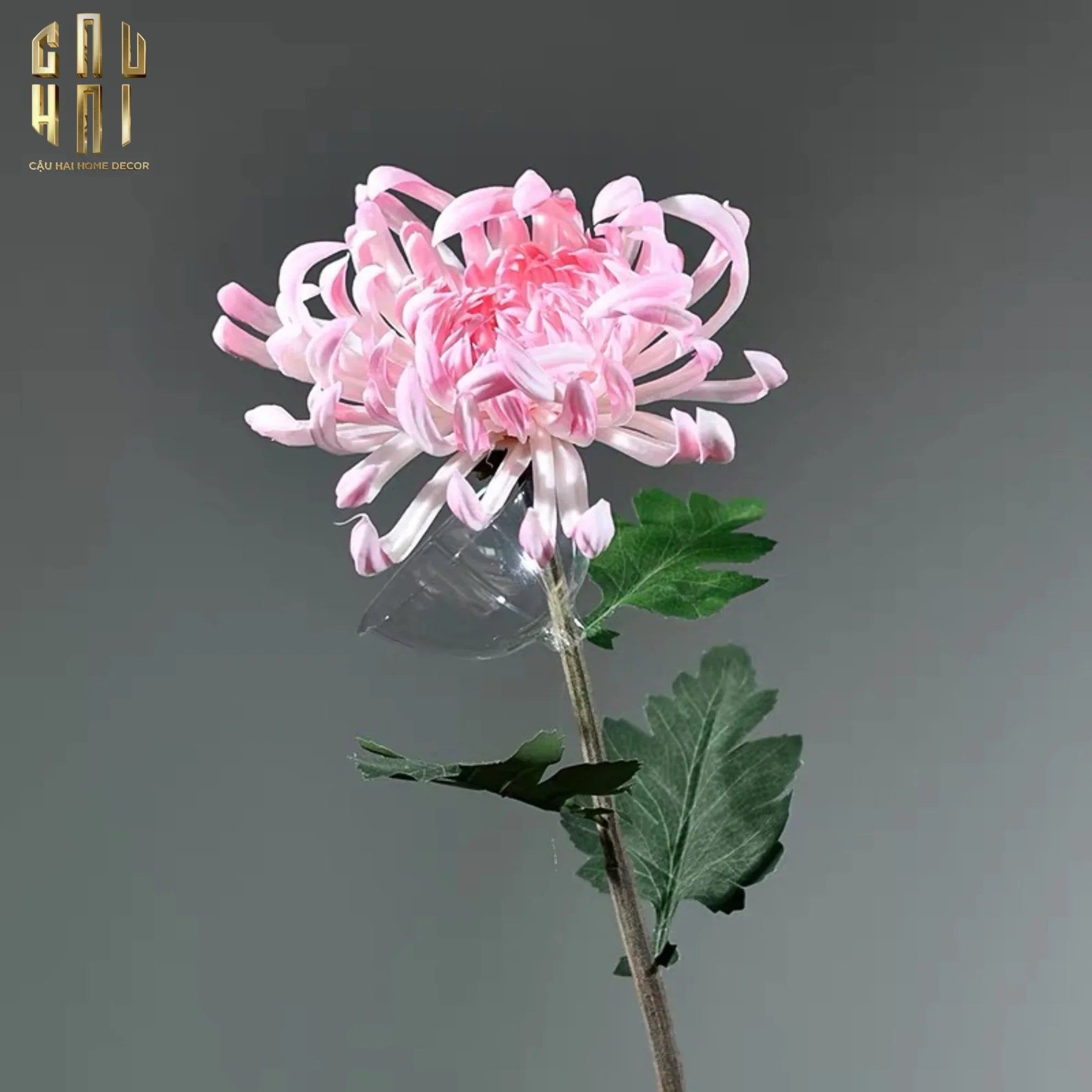 canh-hoa-cuc-dai-doa-vienna-redyellowpink-cau-hai-home-decor-3 - CẬU HAI HOME DECOR