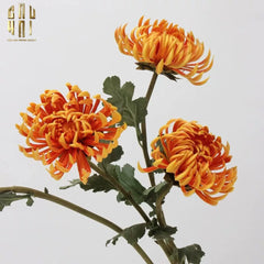 canh-hoa-cuc-dai-doa-vienna-redyellowpink-cau-hai-home-decor-4 - CẬU HAI HOME DECOR