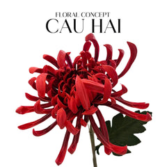 Cành Hoa Cúc Đại Đoá Vienna - Red/Yellow/Pink-CẬU HAI HOME DECOR