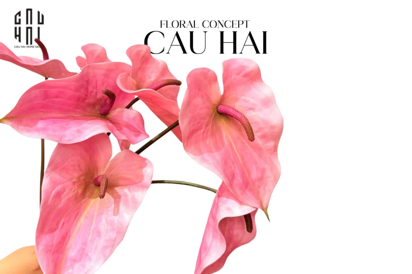 Cành Hoa Hồng Môn - Super Pink-CẬU HAI HOME DECOR