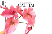 Cành Hoa Hồng Môn - Super Pink-Hoa Lụa-CẬU HAI HOME DECOR