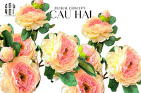 canh-hoa-mau-don-peony-lactiflora-baby-coral-cau-hai-home-decor - CẬU HAI HOME DECOR