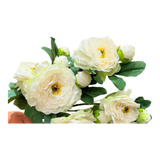Cành Hoa Mẫu Đơn Peony Lactiflora
 - White